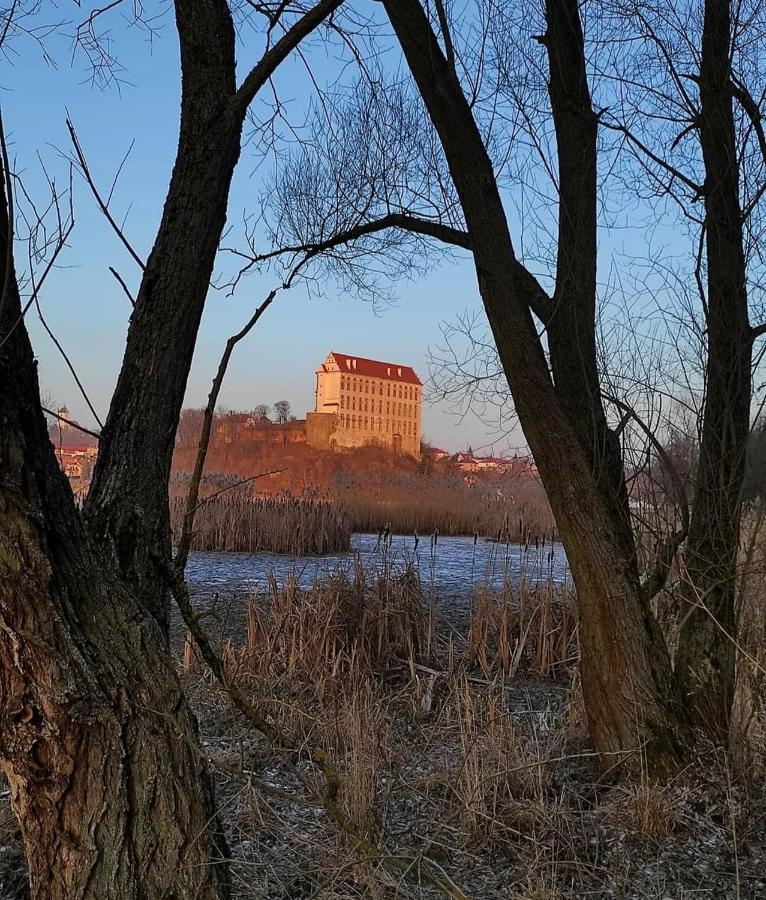 Ubytovani V Plumlove Bagian luar foto